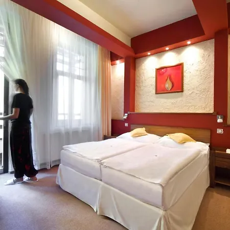 Hotel & Wellness St. Moritz 4*