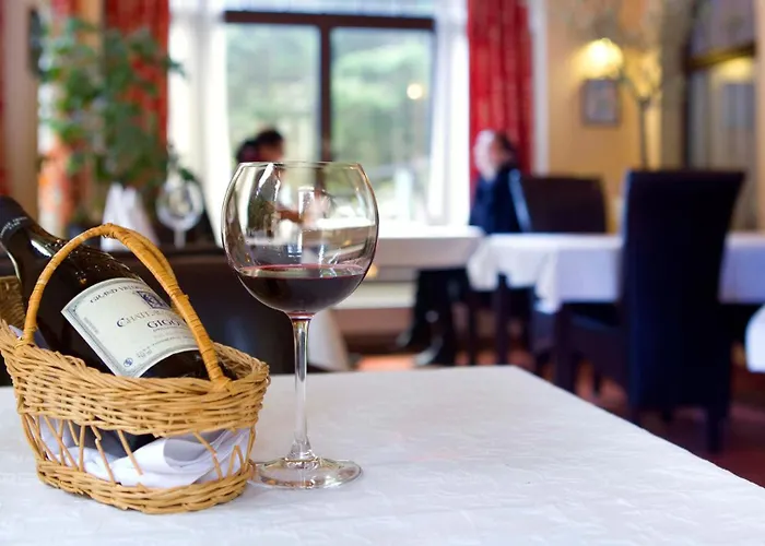 מלון & Wellness St. Moritz 4*