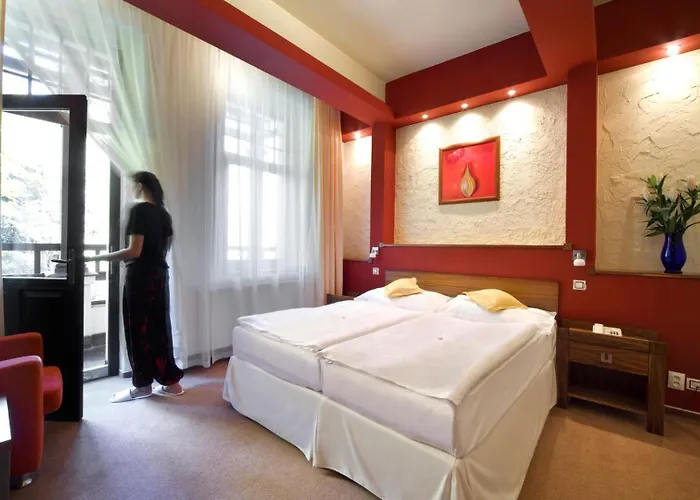 Hotel & Wellness St. Moritz 4*